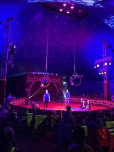 IMG_8802