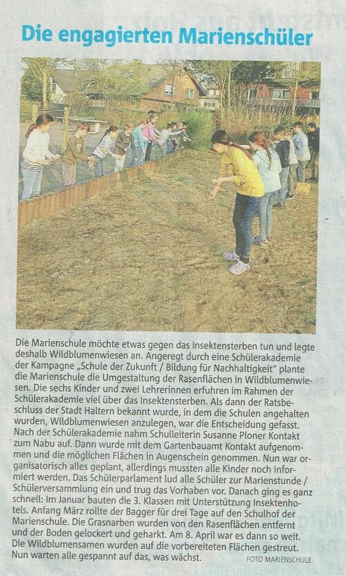 Zeitungsbericht_Wildblumenwiese
